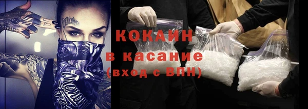ПСИЛОЦИБИНОВЫЕ ГРИБЫ Алексин