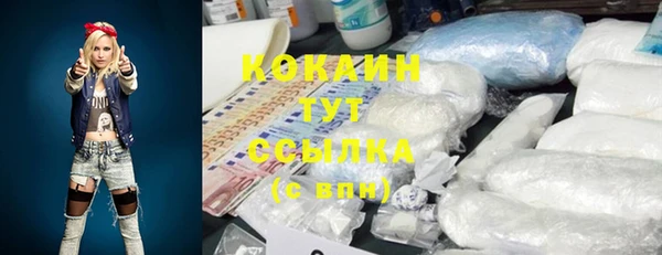 спиды Алзамай