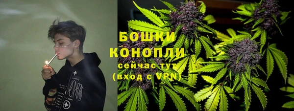 ПСИЛОЦИБИНОВЫЕ ГРИБЫ Алексин