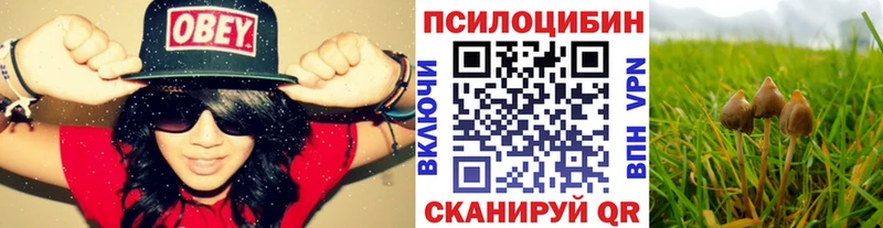 Галлюциногенные грибы Cubensis  Новоуральск 